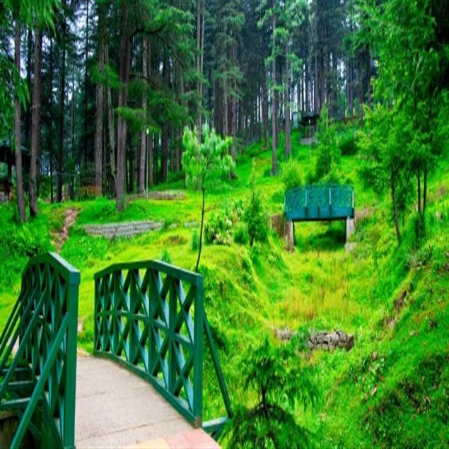 budget hotels in patnitop
